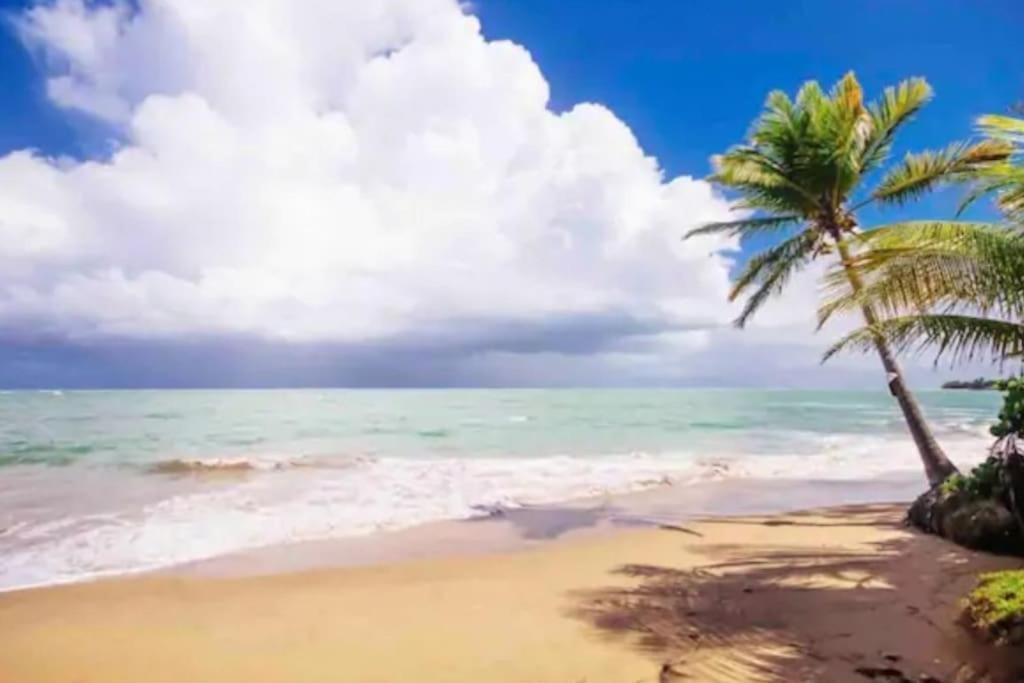 Fall In Love To Endless Summer. Charm And Private Apartment Loiza ภายนอก รูปภาพ