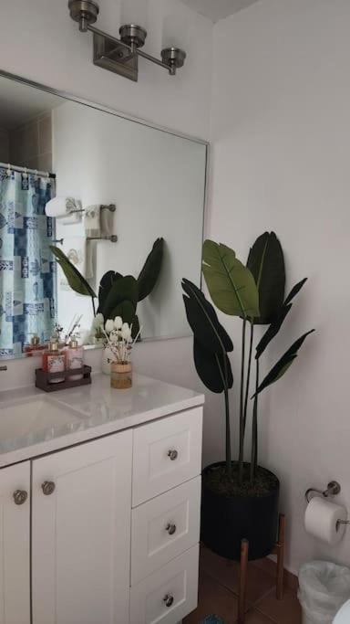 Fall In Love To Endless Summer. Charm And Private Apartment Loiza ภายนอก รูปภาพ